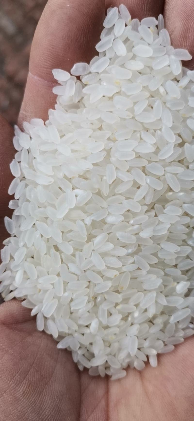乡禾农业:引领现代农业发展新潮流
