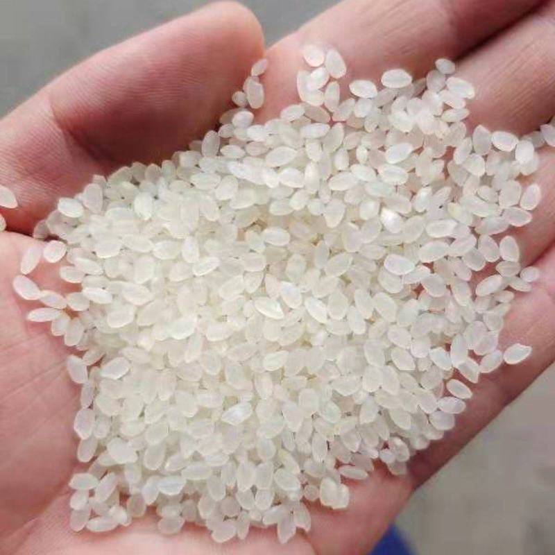 浙江乡禾农业:绿色生态产业引领者