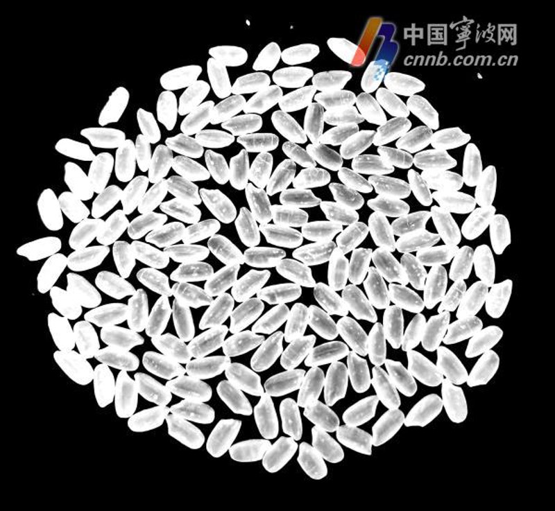 从农耕文化到现代农业:乡禾农业在探索中的创新之路